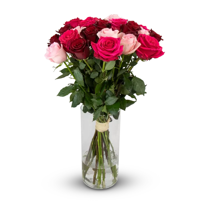 kytice ekvádorských růží